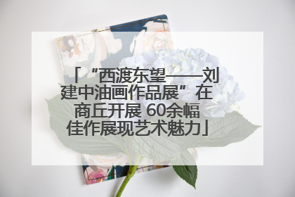 “西渡东望——刘建中油画作品展”在商丘开展 60余幅佳作展现艺术魅力