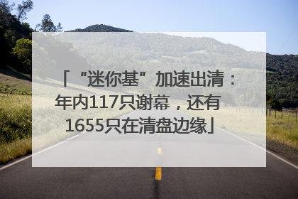 “迷你基”加速出清：年内117只谢幕，还有1655只在清盘边缘