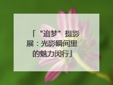 “追梦”摄影展：光影瞬间里的魅力闵行
