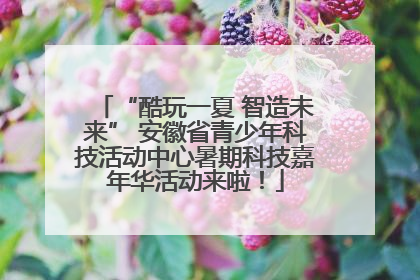 “酷玩一夏 智造未来” 安徽省青少年科技活动中心暑期科技嘉年华活动来啦！