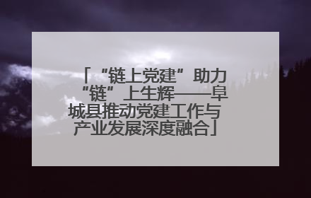 “链上党建”助力“链”上生辉——阜城县推动党建工作与产业发展深度融合