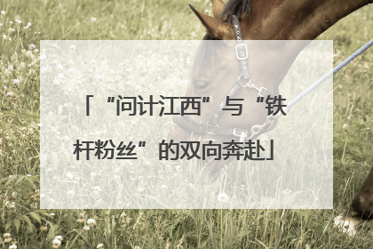 “问计江西”与“铁杆粉丝”的双向奔赴