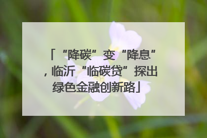 “降碳”变“降息”，临沂“临碳贷”探出绿色金融创新路