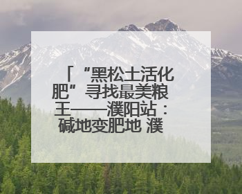 “黑松土活化肥”寻找最美粮王——濮阳站：碱地变肥地 濮阳小麦亩产1500多斤