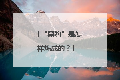 “黑豹”是怎样炼成的？