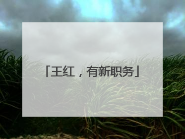 王红，有新职务