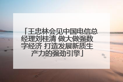 王忠林会见中国电信总经理刘桂清 做大做强数字经济 打造发展新质生产力的强劲引擎