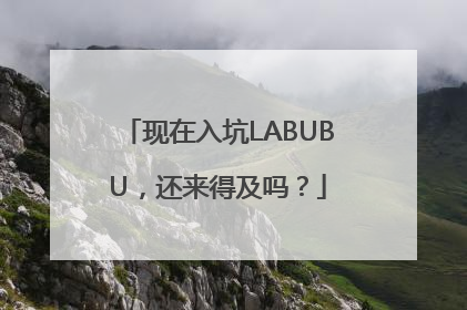 现在入坑LABUBU，还来得及吗？