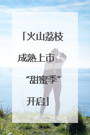 火山荔枝成熟上市 “甜蜜季”开启