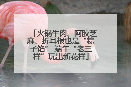 火锅牛肉、阿胶芝麻、折耳根也是“粽子馅” 端午“老三样”玩出新花样