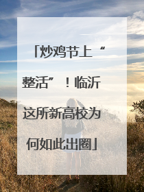 炒鸡节上“整活”！临沂这所新高校为何如此出圈