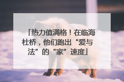 热力值满格！在临海杜桥，他们跑出“爱与法”的“家”速度