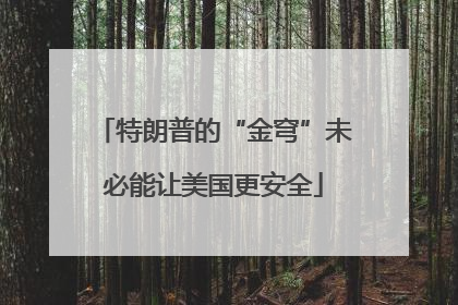 特朗普的“金穹”未必能让美国更安全