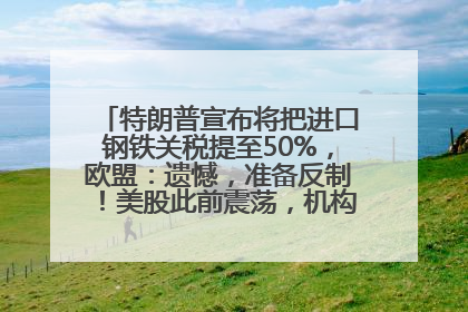 特朗普宣布将把进口钢铁关税提至50%，欧盟：遗憾，准备反制！美股此前震荡，机构：美元正进入熊市