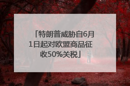 特朗普威胁自6月1日起对欧盟商品征收50%关税