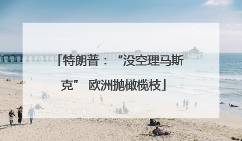 特朗普：“没空理马斯克” 欧洲抛橄榄枝