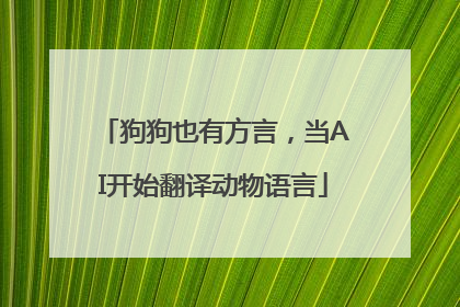 狗狗也有方言，当AI开始翻译动物语言