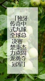 独牙传奇中式九球全球总决赛 楚秉杰力克周龙勇夺冠军