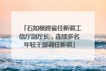 石如根跨省任新疆工信厅副厅长，连续多名年轻干部调任新疆