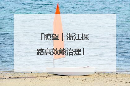 瞭望｜浙江探路高效能治理