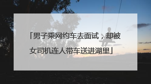 男子乘网约车去面试，却被女司机连人带车送进湖里