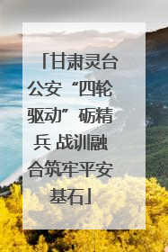 甘肃灵台公安“四轮驱动”砺精兵 战训融合筑牢平安基石