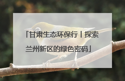 甘肃生态环保行丨探索兰州新区的绿色密码