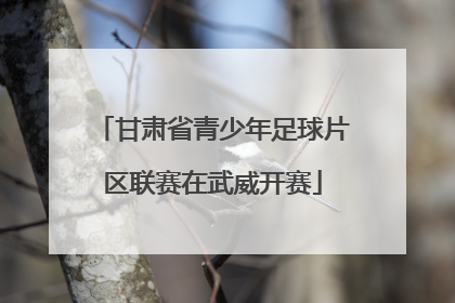甘肃省青少年足球片区联赛在武威开赛