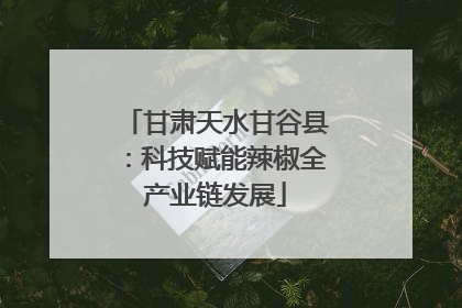 甘肃天水甘谷县：科技赋能辣椒全产业链发展