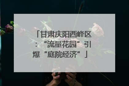 甘肃庆阳西峰区：“流量花园”引爆“庭院经济”