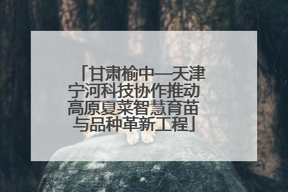甘肃榆中—天津宁河科技协作推动高原夏菜智慧育苗与品种革新工程