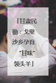 甘肃民勤：戈壁沙乡孕育“甘味”领头羊