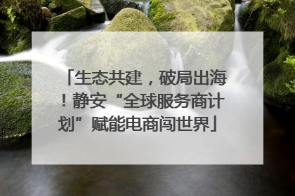 生态共建，破局出海！静安“全球服务商计划”赋能电商闯世界