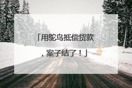 用鸵鸟抵偿货款，案子结了！