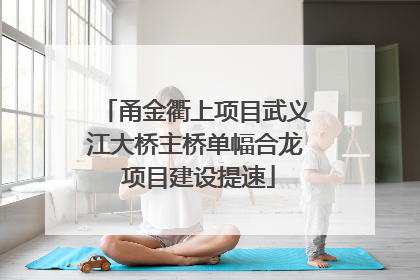 甬金衢上项目武义江大桥主桥单幅合龙 项目建设提速