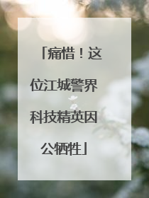 痛惜！这位江城警界科技精英因公牺牲