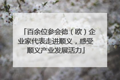 百余位参会德（欧）企业家代表走进顺义，感受顺义产业发展活力