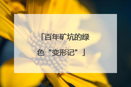 百年矿坑的绿色“变形记”