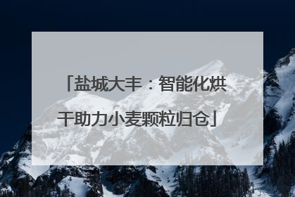 盐城大丰：智能化烘干助力小麦颗粒归仓