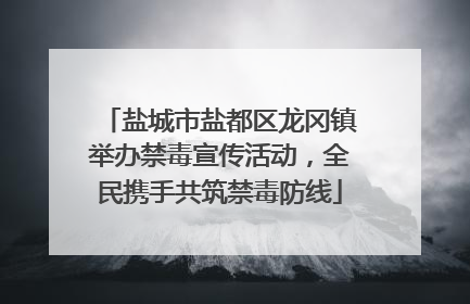盐城市盐都区龙冈镇举办禁毒宣传活动，全民携手共筑禁毒防线