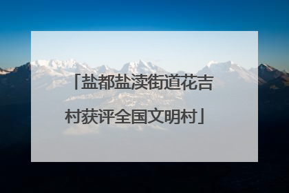盐都盐渎街道花吉村获评全国文明村