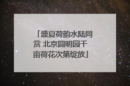 盛夏荷韵水陆同赏 北京圆明园千亩荷花次第绽放