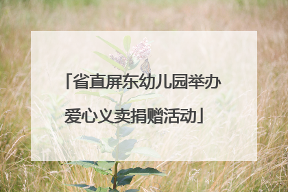 省直屏东幼儿园举办爱心义卖捐赠活动