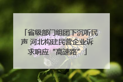 省级部门组团下沉听民声 河北构建民营企业诉求响应“高速路”
