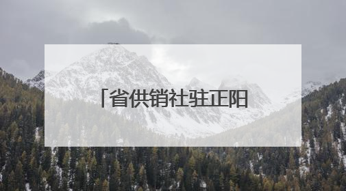 省供销社驻正阳县小陈村工作队 助力“三夏”护航丰收之路