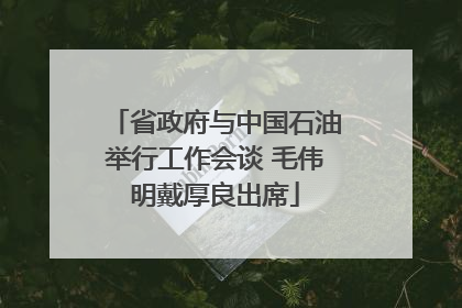 省政府与中国石油举行工作会谈 毛伟明戴厚良出席