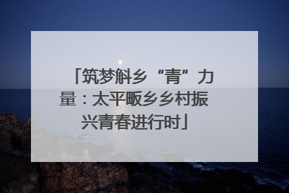 筑梦斛乡“青”力量：太平畈乡乡村振兴青春进行时