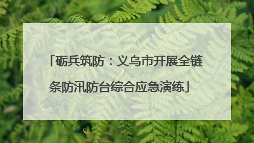 砺兵筑防：义乌市开展全链条防汛防台综合应急演练