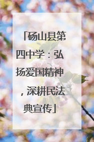 砀山县第四中学：弘扬爱国精神，深耕民法典宣传