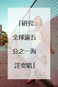 研究：全球逾五分之一海洋变暗